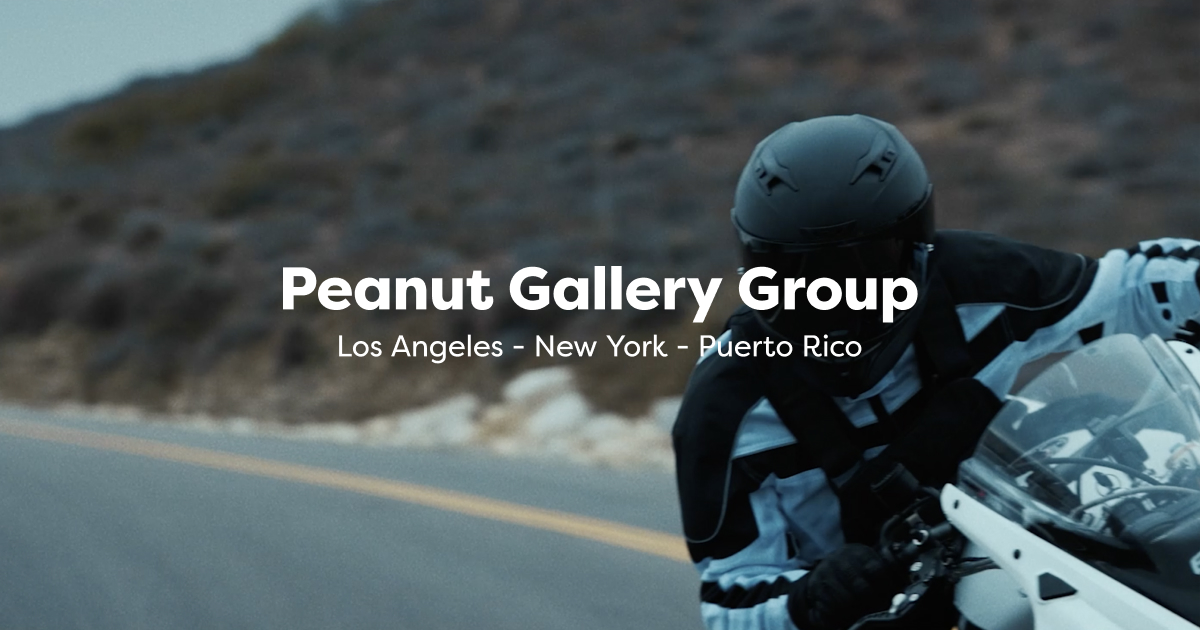 Peanut Gallery Group logo